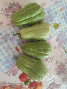 yz吃瓜大神,揭秘娱乐圈那些不为人知的幕后故事