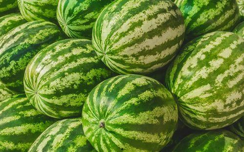 训练岛在哪吃瓜,探寻神秘美食之旅