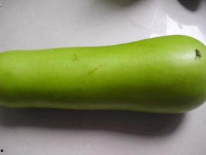 水痘可以吃葫芦瓜吗,水痘期间葫芦瓜的适宜食用探讨