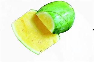 激情吃瓜plus版,揭秘娱乐圈幕后风云，带你领略明星们的真实生活