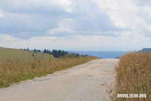梦见园子里摘瓜吃瓜,园中摘瓜,品味瓜果香甜的奇幻之旅