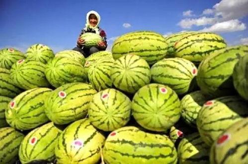 石头瓜能吃嘛怎么吃