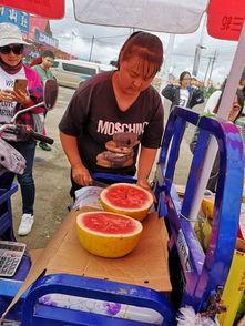 内蒙呼和浩特吃瓜,瓜果飘香,夏日味蕾之旅