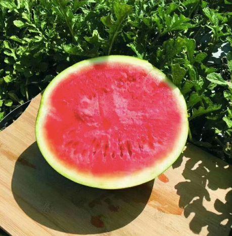 吃瓜群众寻姻缘,一场甜蜜的缘分之旅