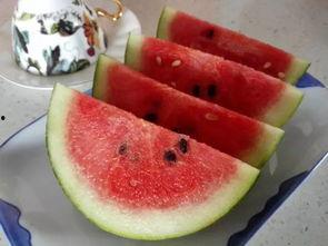 吃瓜了吃西瓜,吃瓜吃西瓜，畅享清凉一夏