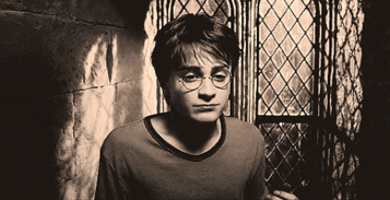 朝阳吃瓜群众2046