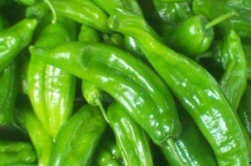 辣椒当瓜怎么吃最好