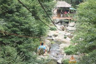 索道青岛吃瓜,吃瓜群众的观景天堂