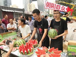 朝阳区吃瓜网,揭秘京城热点事件，带你领略京城生活百态